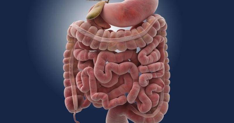 Pinterest.com/vionaolyviazhu